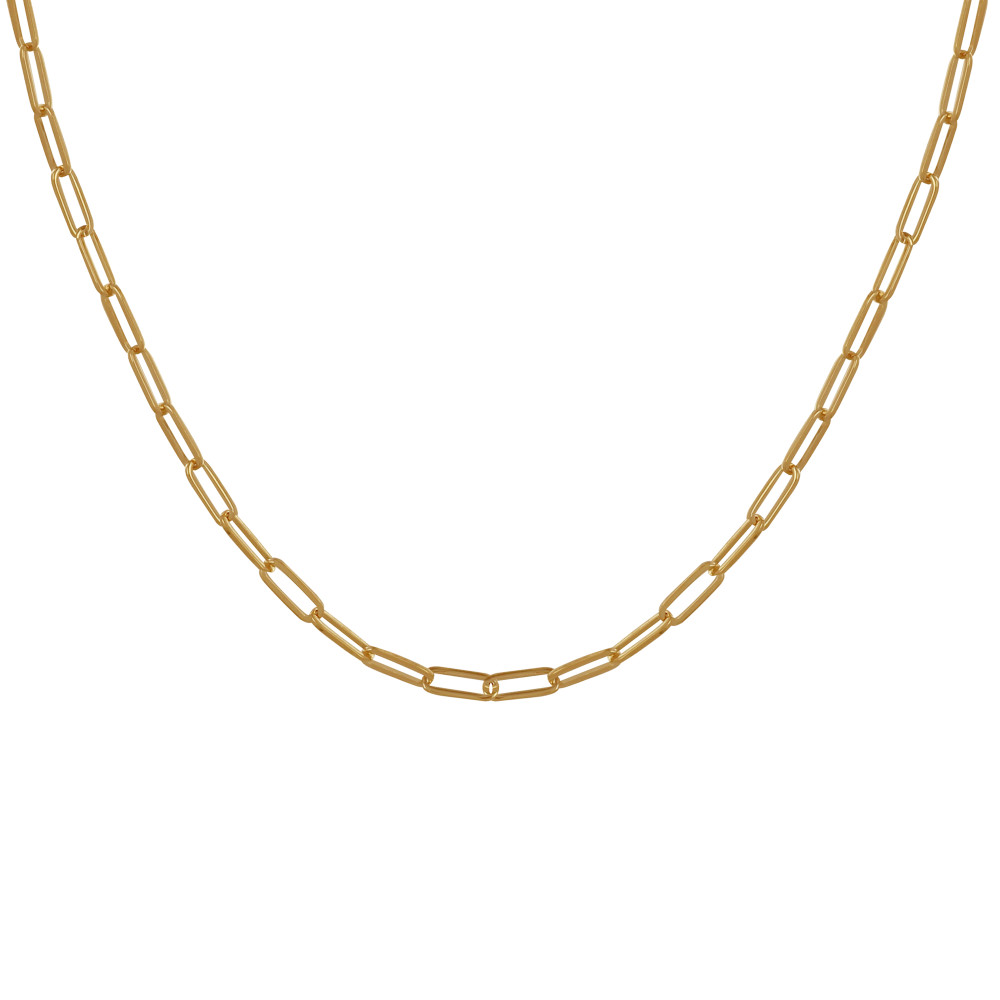 LES POULETTES BIJOUX Collier Plaqué Or Mailles Cheval 45cm