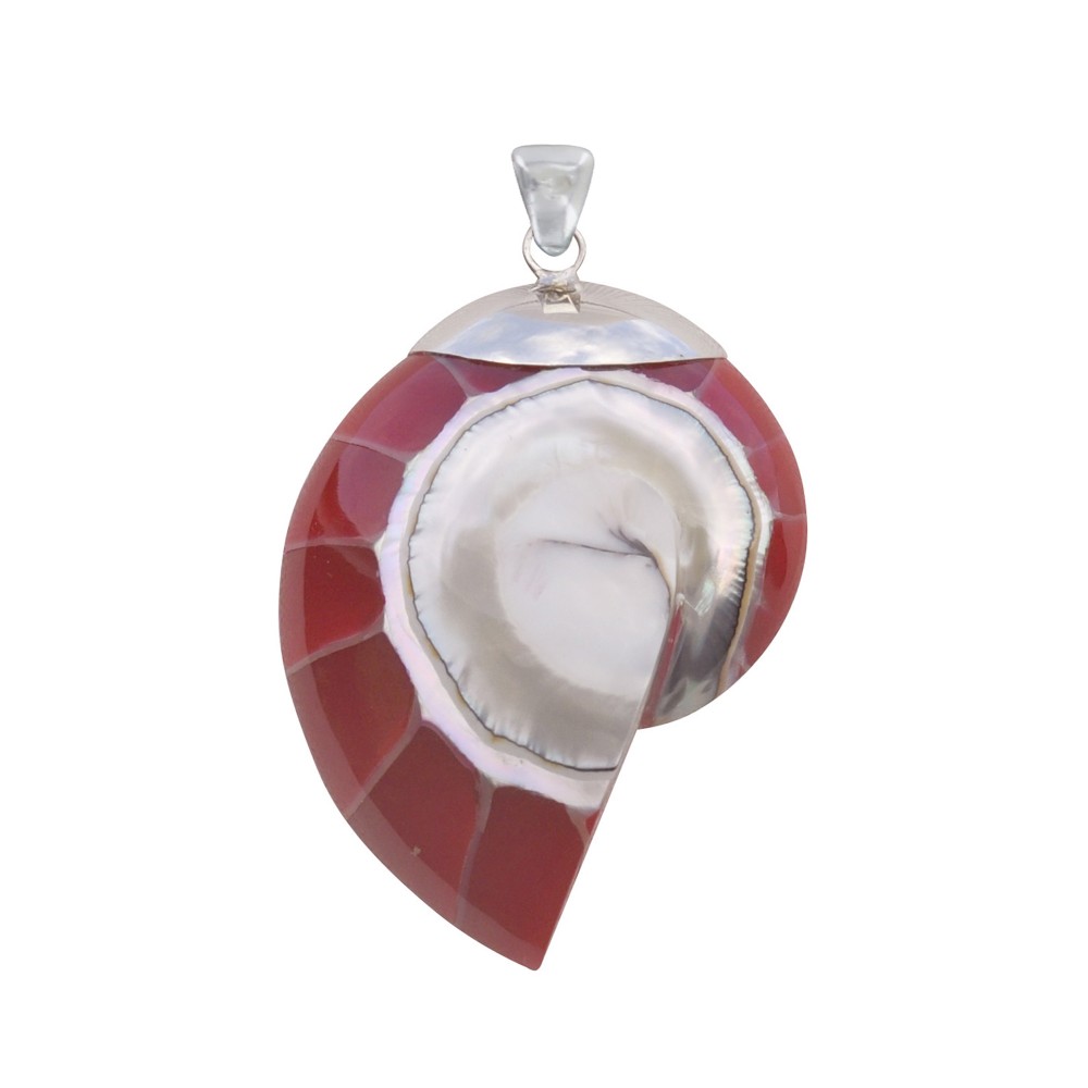 LES POULETTES BIJOUX Pendentif Argent 925 Nautile Coquillage et Résine - Rouge