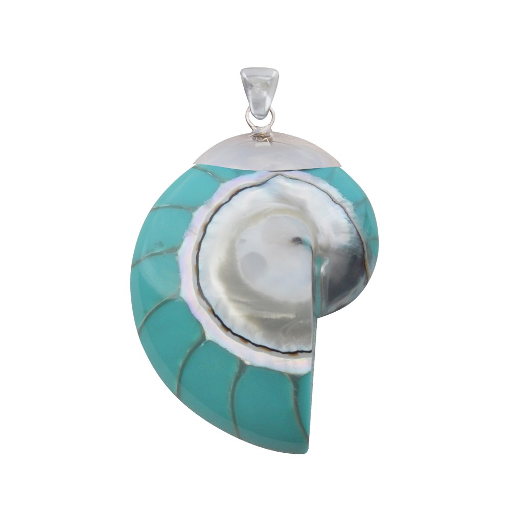 LES POULETTES BIJOUX Pendentif Argent 925 Nautile Coquillage et Résine - Turquoise