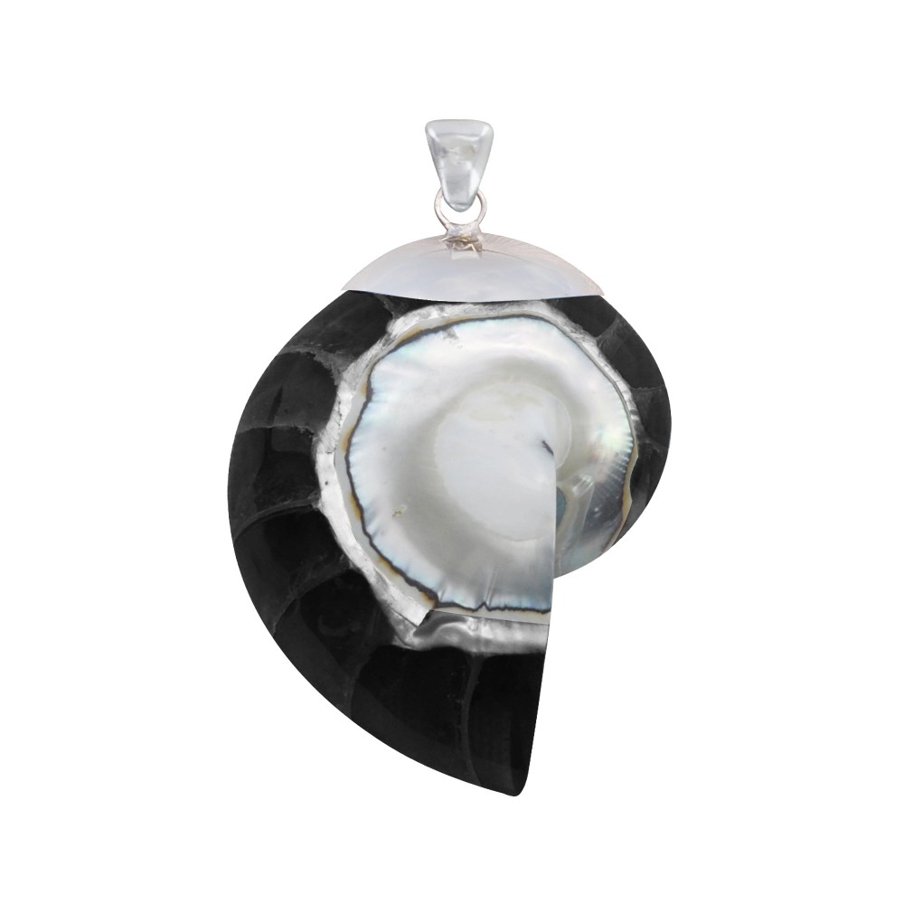 LES POULETTES BIJOUX Pendentif Argent 925 Nautile Coquillage et Résine - Noir