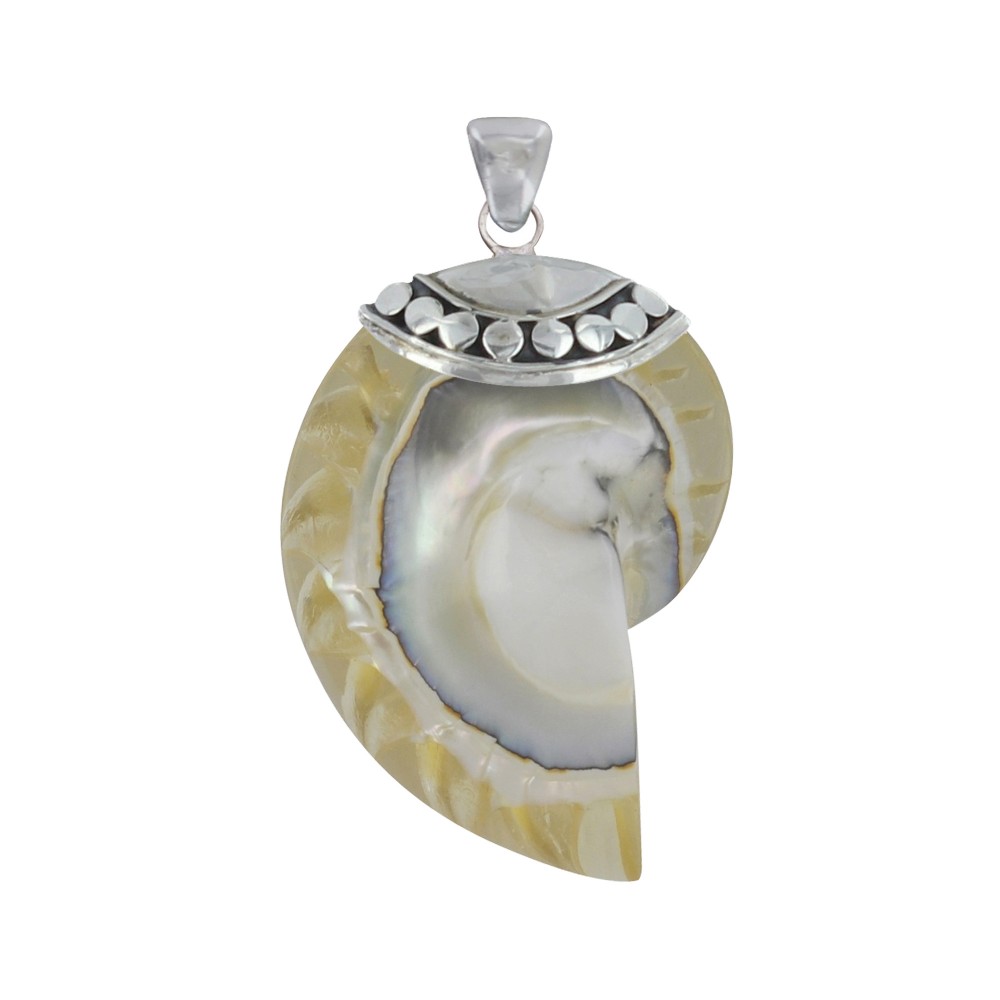 LES POULETTES BIJOUX Pendentif Argent 925 Nautile Coquillage et Résine - Beige