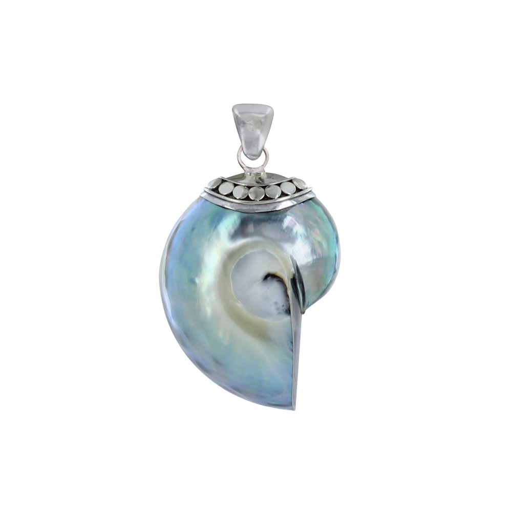 LES POULETTES BIJOUX Pendentif Argent 925 Nautile Coquillage Petit Modèle - Gris Aci