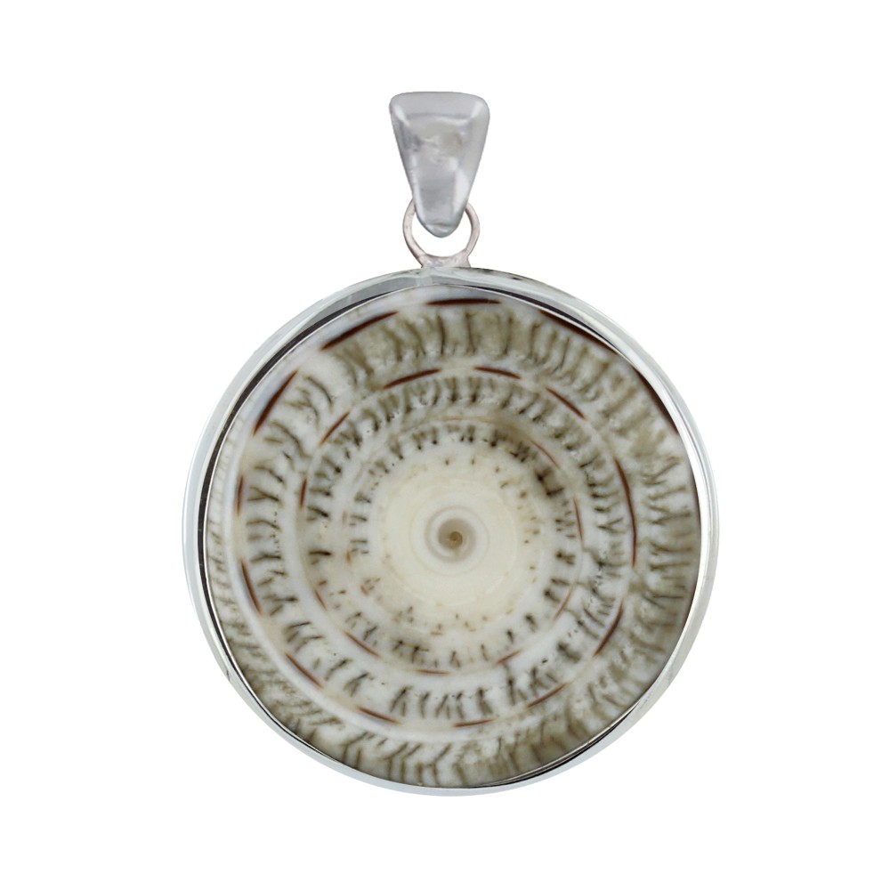 LES POULETTES BIJOUX Pendentif Argent 925 Disque et Coquillage Naturel - Beige