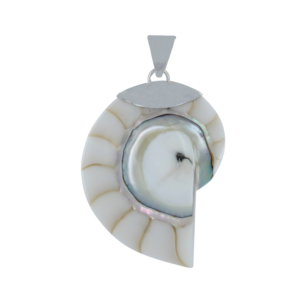 LES POULETTES BIJOUX Pendentif Argent 925 Nautile Coquillage et Résine - Blanc