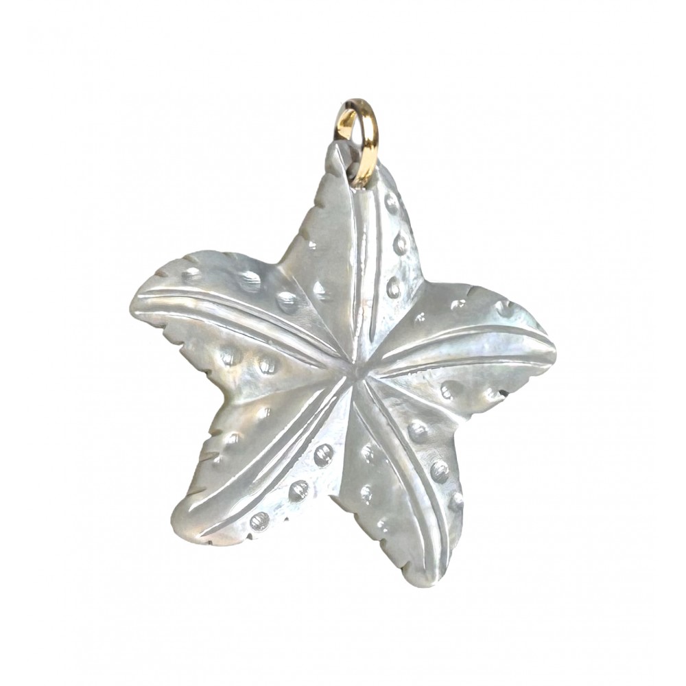 LES POULETTES BIJOUX Pendentif Étoile de Mer en Nacre Naturelle 25 mm pour Femme - Or